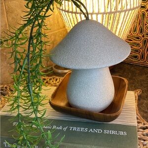 Mushroom Shaped Stone Decor